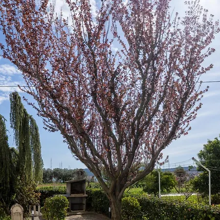 By The Sea Seget Donji, - 23134 Appartement